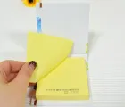 ��ǰ ����5